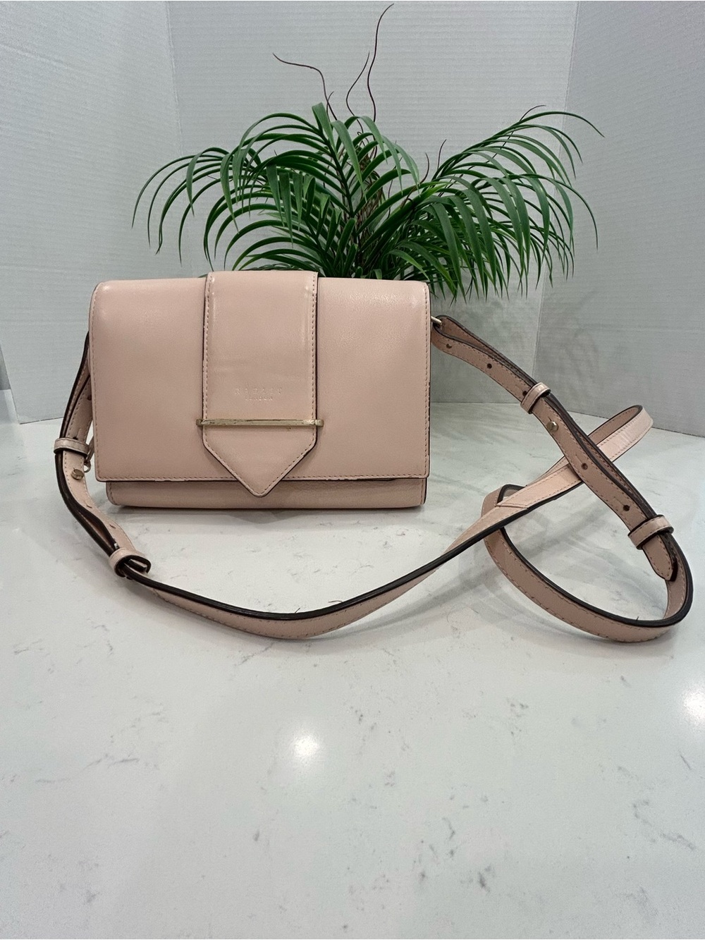RADLEY LONDON Blush Pink Leather Crossbody Bag